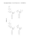 DNA SEQUENCING BY SYNTHESIS USING RAMAN AND INFRARED SPECTROSCOPY     DETECTION diagram and image