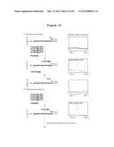 DNA SEQUENCING BY SYNTHESIS USING RAMAN AND INFRARED SPECTROSCOPY     DETECTION diagram and image