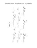 DNA SEQUENCING BY SYNTHESIS USING RAMAN AND INFRARED SPECTROSCOPY     DETECTION diagram and image