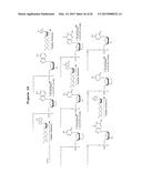 DNA SEQUENCING BY SYNTHESIS USING RAMAN AND INFRARED SPECTROSCOPY     DETECTION diagram and image