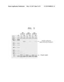 POLYNUCLEOTIDE AND USE THEREOF diagram and image