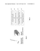 Systems and Methods for Biological Analysis diagram and image