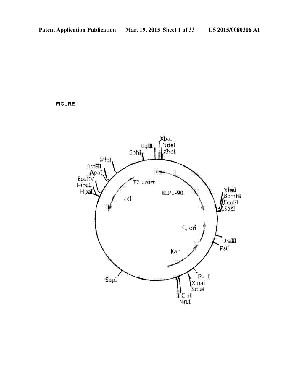 THERAPEUTIC AGENTS COMPRISING ELASTIC PEPTIDES - diagram, schematic, and image 02