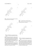 METHOD OF REDUCING INTRAOCULAR PRESSURE IN HUMANS diagram and image