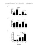 MATERNAL SUPPLEMENT TO ENHANCE IMMUNE SYSTEM OF AN INFANT diagram and image
