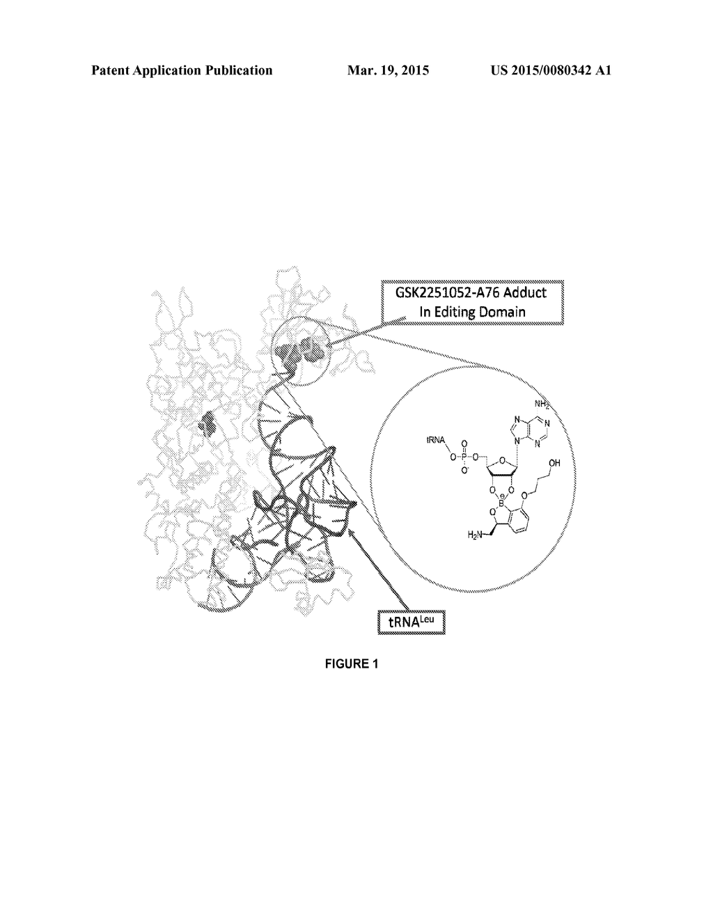 BENZOXABOROLE COMPOUNDS AND USES THEREOF - diagram, schematic, and image 02