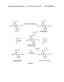 BUMETANIDE ANALOGS, COMPOSITIONS AND METHODS OF USE diagram and image