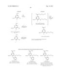 BUMETANIDE ANALOGS, COMPOSITIONS AND METHODS OF USE diagram and image