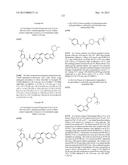 KINASE INHIBITORS diagram and image