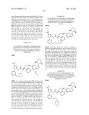 KINASE INHIBITORS diagram and image