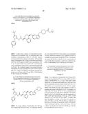 KINASE INHIBITORS diagram and image