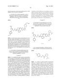 KINASE INHIBITORS diagram and image