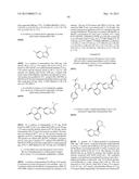 KINASE INHIBITORS diagram and image