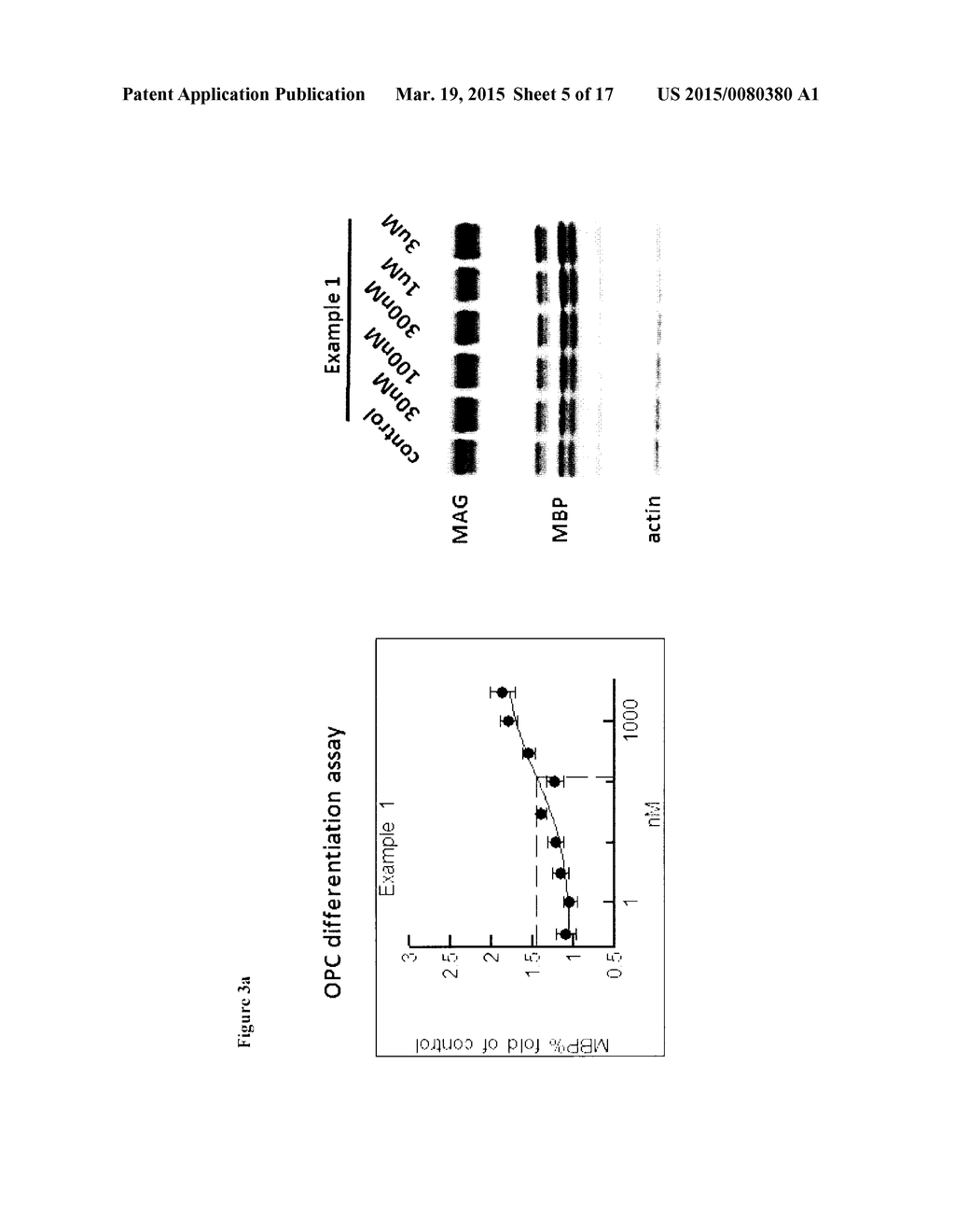 Therapeutic Uses - diagram, schematic, and image 06