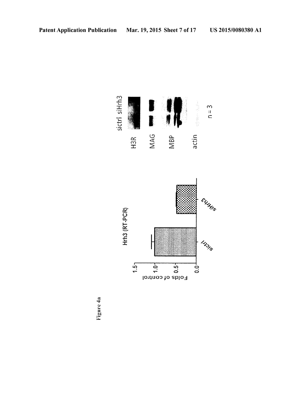 Therapeutic Uses - diagram, schematic, and image 08