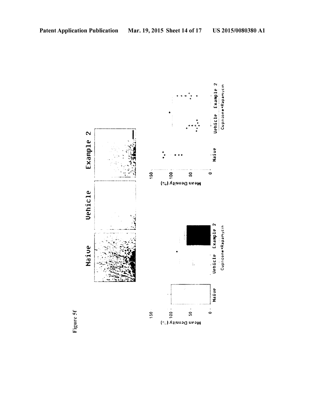 Therapeutic Uses - diagram, schematic, and image 15