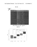 Cancer Specific Mitotic Network diagram and image