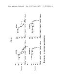 Cancer Specific Mitotic Network diagram and image