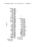 Cancer Specific Mitotic Network diagram and image