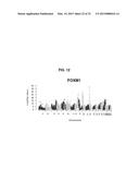 Cancer Specific Mitotic Network diagram and image