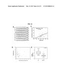 Cancer Specific Mitotic Network diagram and image