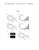 Cancer Specific Mitotic Network diagram and image