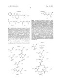 EPOTHILONE DERIVATIVES diagram and image