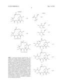 EPOTHILONE DERIVATIVES diagram and image