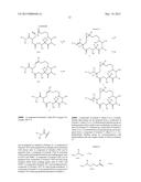 EPOTHILONE DERIVATIVES diagram and image