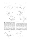 EPOTHILONE DERIVATIVES diagram and image