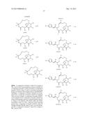 EPOTHILONE DERIVATIVES diagram and image