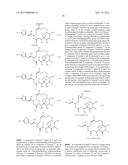 EPOTHILONE DERIVATIVES diagram and image