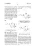 EPOTHILONE DERIVATIVES diagram and image