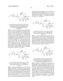 EPOTHILONE DERIVATIVES diagram and image