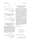 EPOTHILONE DERIVATIVES diagram and image