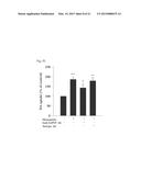 Memantine Protects Inflammation-Related Degeneration of Dopamine Neurons     Through Inhibition of Over-Activated Microglia and Release of     Neurotrophic Factors From Astroglia diagram and image