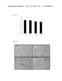 Memantine Protects Inflammation-Related Degeneration of Dopamine Neurons     Through Inhibition of Over-Activated Microglia and Release of     Neurotrophic Factors From Astroglia diagram and image