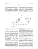 Polyoxazolines with Inert Terminating Groups, Polyoxazolines Prepared from     Protected Initiating Groups and Related Compounds diagram and image