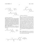 LYSINE OLIGOMER DERIVATIVE AND CARTILAGE TISSUE MARKER MADE THEREOF diagram and image