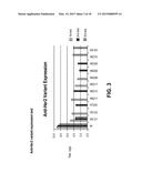 Compositions Containing, Methods Involving, and Uses of Non-Natural Amino     Acid Linked Dolastatin Derivatives diagram and image