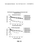 Compositions Containing, Methods Involving, and Uses of Non-Natural Amino     Acid Linked Dolastatin Derivatives diagram and image