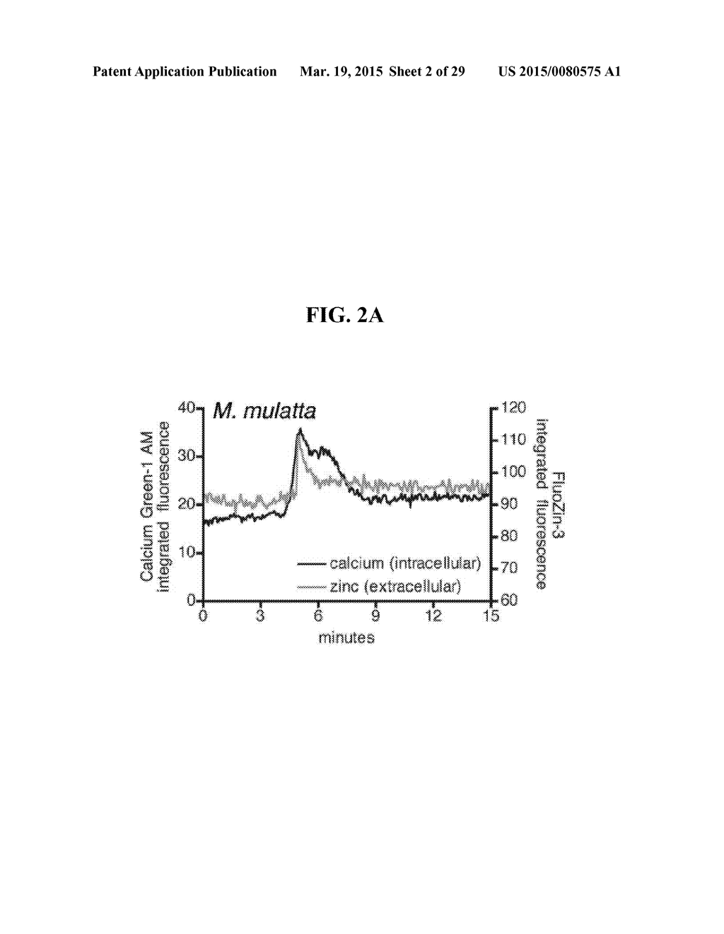 COMPOSITIONS AND METHODS FOR THE DETECTION OF ZINC - diagram, schematic, and image 03