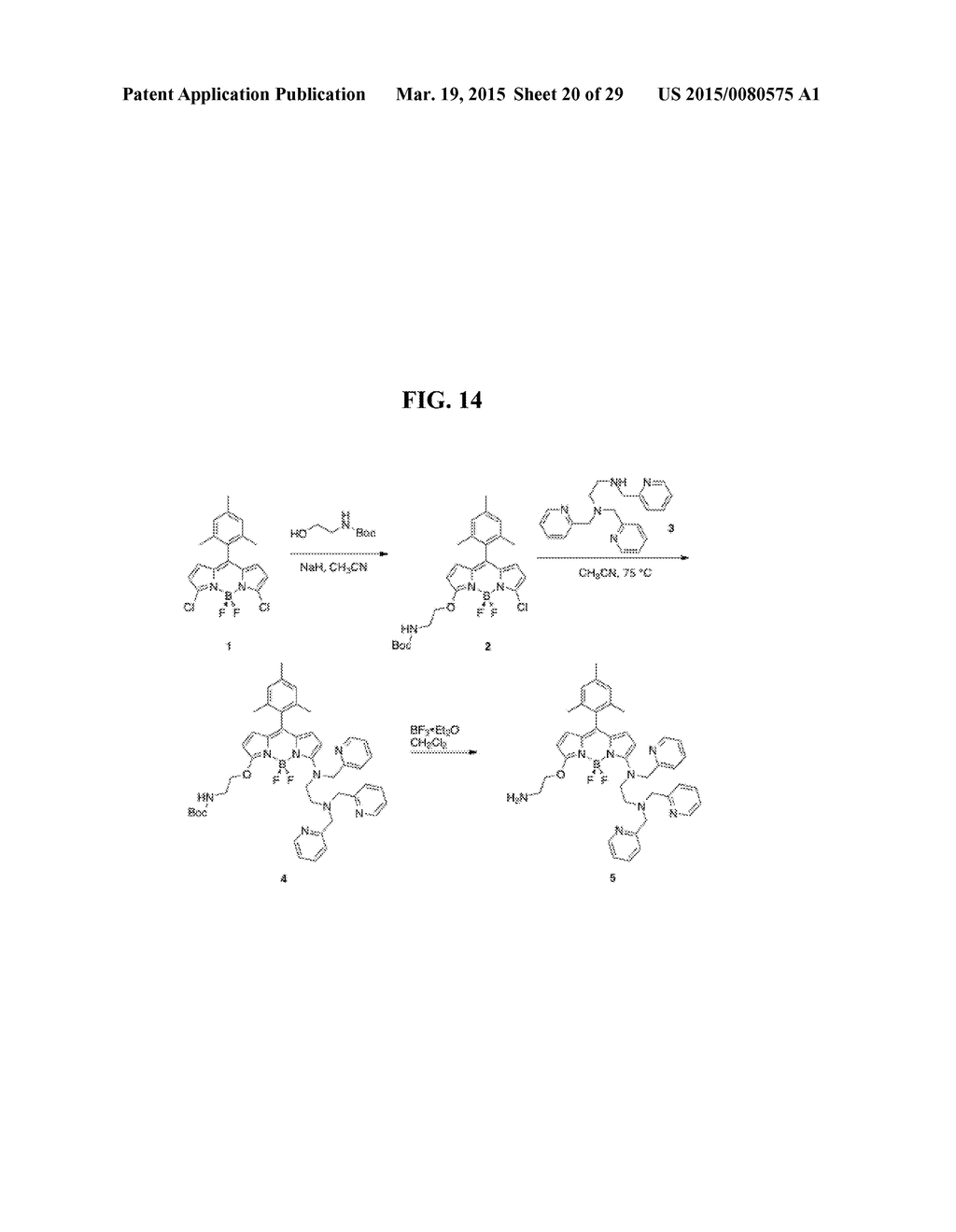 COMPOSITIONS AND METHODS FOR THE DETECTION OF ZINC - diagram, schematic, and image 21