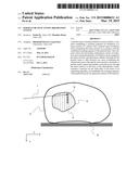 PARTICLE BEAM SCANNING IRRADIATION SYSTEM diagram and image