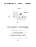 PARTICLE BEAM SCANNING IRRADIATION SYSTEM diagram and image