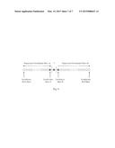 PARTICLE BEAM SCANNING IRRADIATION SYSTEM diagram and image