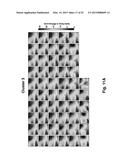 Conformable Actively Multiplexed High-Density Surface Electrode Array for     Brain Interfacing diagram and image