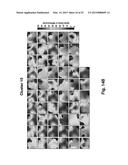 Conformable Actively Multiplexed High-Density Surface Electrode Array for     Brain Interfacing diagram and image