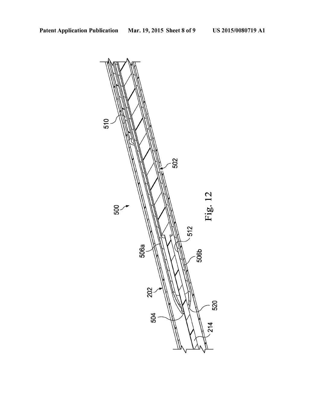 OCT PROBE WITH BOWING FLEXOR - diagram, schematic, and image 09