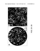 METHOD AND SYSTEM FOR ASSESSING PRETERM BIRTH AND OTHER PATHOLOGIES diagram and image